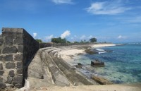 ly son island to restore giant whale skeleton