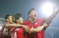 two away goals crucial for vietnam into aff cup final return leg