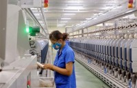 prospects look good for vietnams economy in 2019