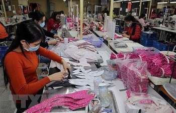 Vietnam enjoys trade surplus with Israel in first 10 months