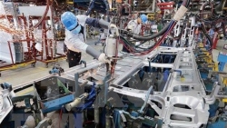 Viet Nam expected to mount strong recovery next year: UK’s Proactive