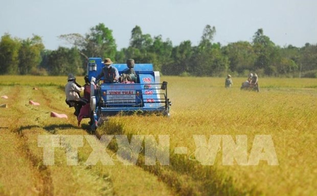 Mekong Connect 2021 to take place in HCM City on December 17