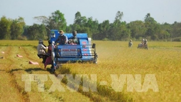 Mekong Connect 2021 to take place in HCM City on December 17