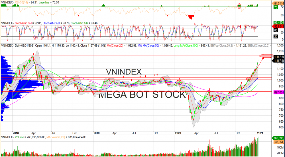 Thị trường chứng khoán ngày 11/1: Đồ thị VN-Index. (Nguồn: MegaBot)