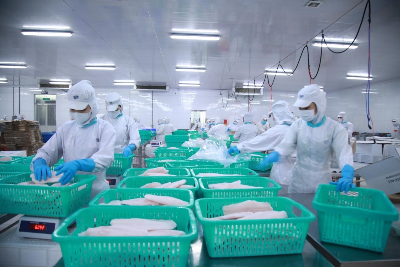 The seafood storage strategy is expected to hit big.