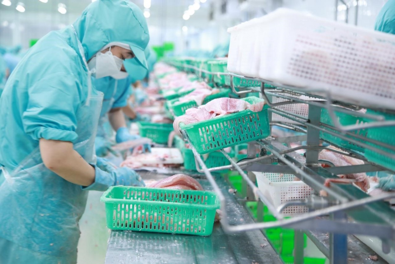 The seafood storage strategy is expected to hit big.