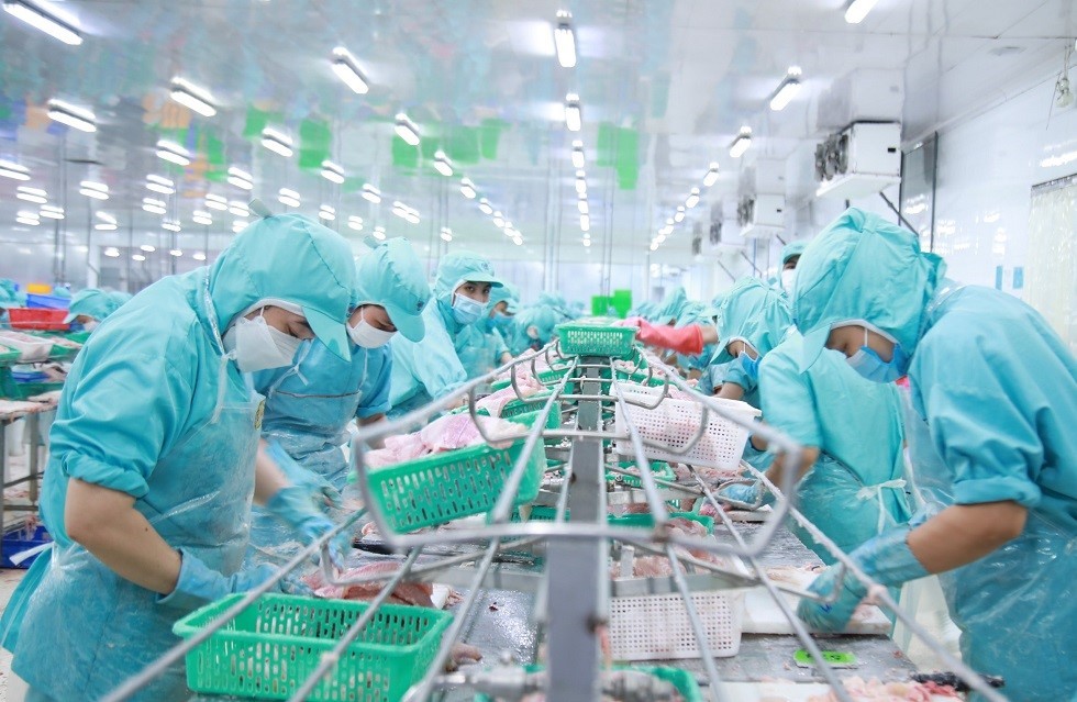 Workers at a Sao Mai Group seafood processing facility 