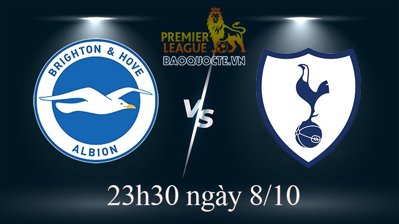 Link xem trực tiếp Brighton vs Tottenham (23h30 ngày 8/10) vòng 10 Ngoại hạng Anh