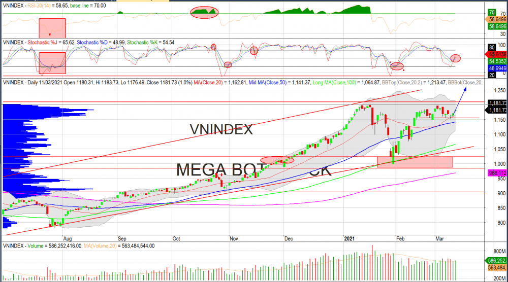Thị trường chứng khoán ngày 10/03/2020: Đồ thị VN-Index .(Nguồn: MegaBot)