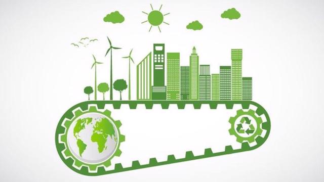 Green economy needed for sustainable development