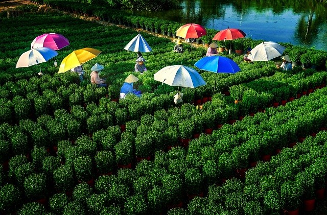 Ben Tre to develop tourism into a spearheaded economic sector