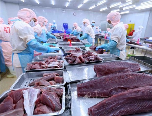  As of the end of June, tuna export value to the US totalled more than 300 million USD, up 96% over the same period last year.