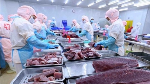 Tuna export expected to hit over 1 billion USD in 2022