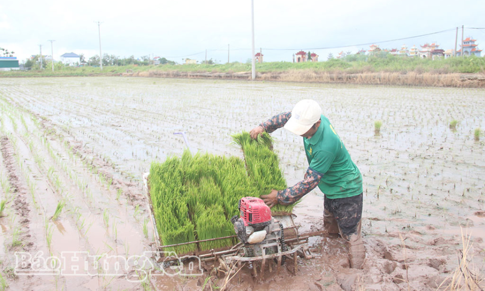 Khẩn trương khôi phục sản xuất sau bão số 3 Khẩn trương khôi phục sản xuất sau bão số 3