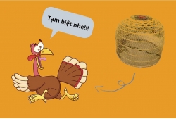 Câu chuyện con gà tây và bài học cắt lỗ trong đầu tư chứng khoán