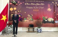 dai su quan viet nam tai qatar to chuc tet cong dong va gap mat xuan canh ty 2020