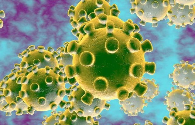 Vaccine ngừa dịch bệnh viêm phổi do virus corona chỉ có thể được thử nghiệm trong 3 tháng nữa