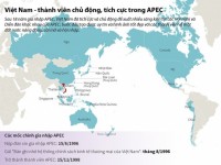 phat bieu cua chu tich nuoc tran dai quang ve nam apec 2017