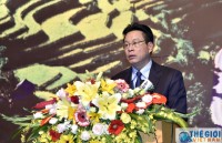 vietnamese investors prosper in laos cambodia myanmar