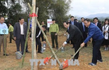 Chủ tịch nước phát động Tết trồng cây đầu Xuân