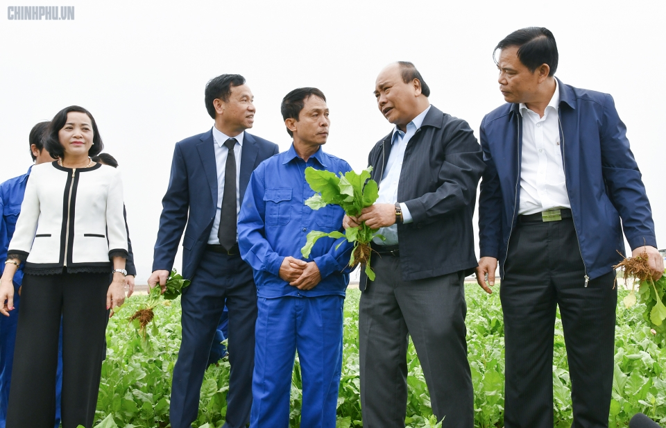 Thủ tướng thăm đơn vị đi đầu trong phát triển nông nghiệp ứng dụng công nghệ cao