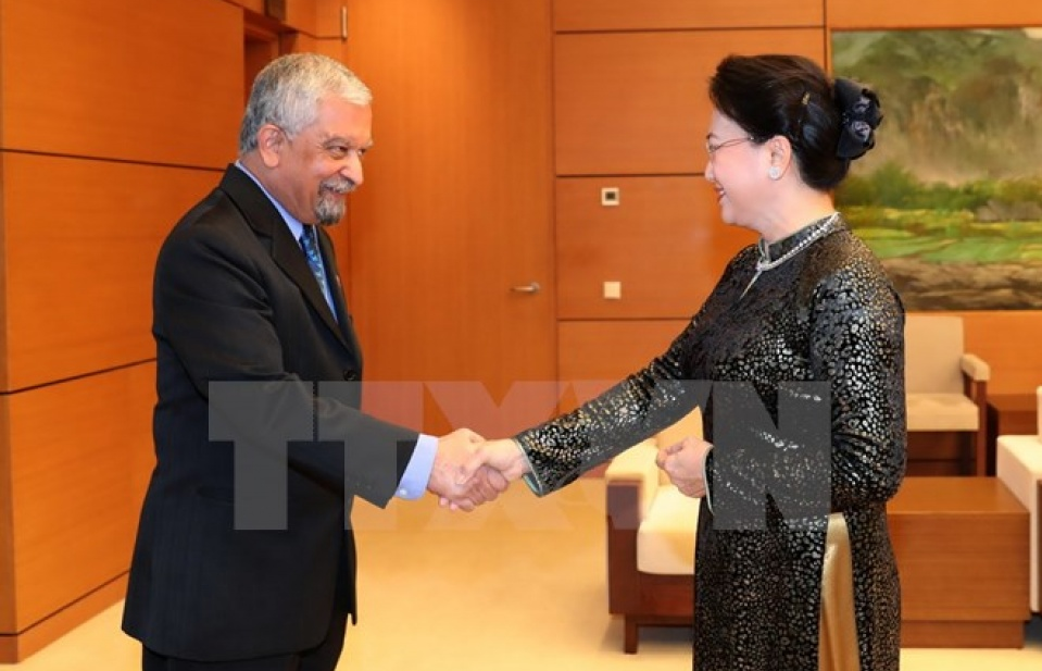 Chủ tịch Quốc hội tiếp Trưởng đại diện UNDP tại Việt Nam