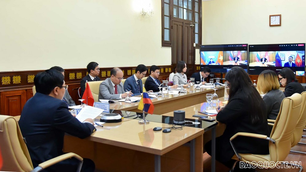 Phó Thủ tướng Phạm Bình Minh hội đàm trực tuyến với Bộ trưởng Ngoại giao Venezuela