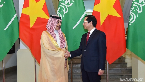 Foreign Minister Bui Thanh Son holds talks with Saudi Arabian counterpart