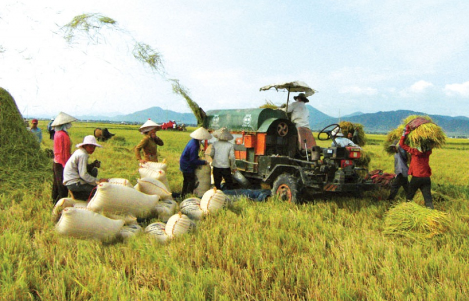 Tạo ra cuộc cách mạng để gạo Việt Nam đáp ứng tốt hơn nhu cầu của thế giới