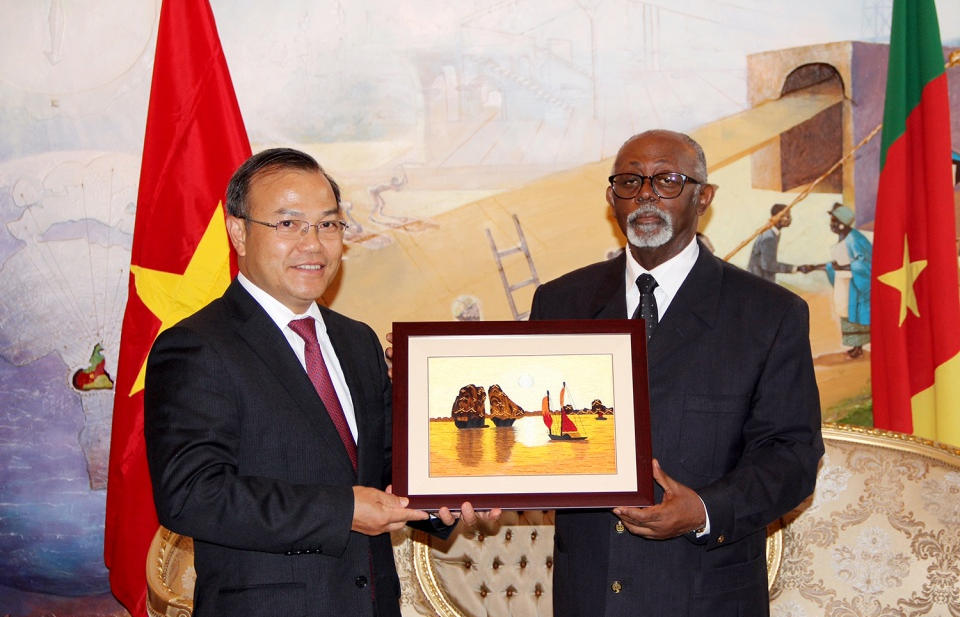 Đặc phái viên Chủ tịch nước, Thứ trưởng Ngoại giao Vũ Hồng Nam thăm Cameroon