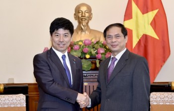 Thúc đẩy triển khai hợp tác kinh tế Việt Nam - Nhật Bản