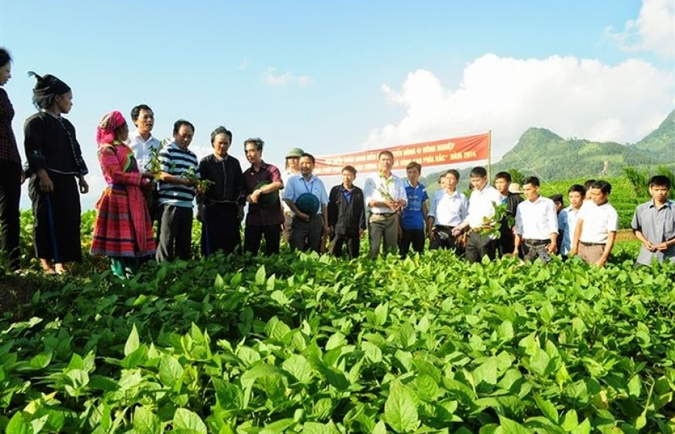 Các chính sách khuyến khích doanh nghiệp đầu tư vào nông nghiệp, nông thôn