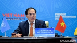 Bộ trưởng Ngoại giao Bùi Thanh Sơn: Chưa có hòa bình bền vững chừng nào vết thương của chiến tranh chưa được chữa lành