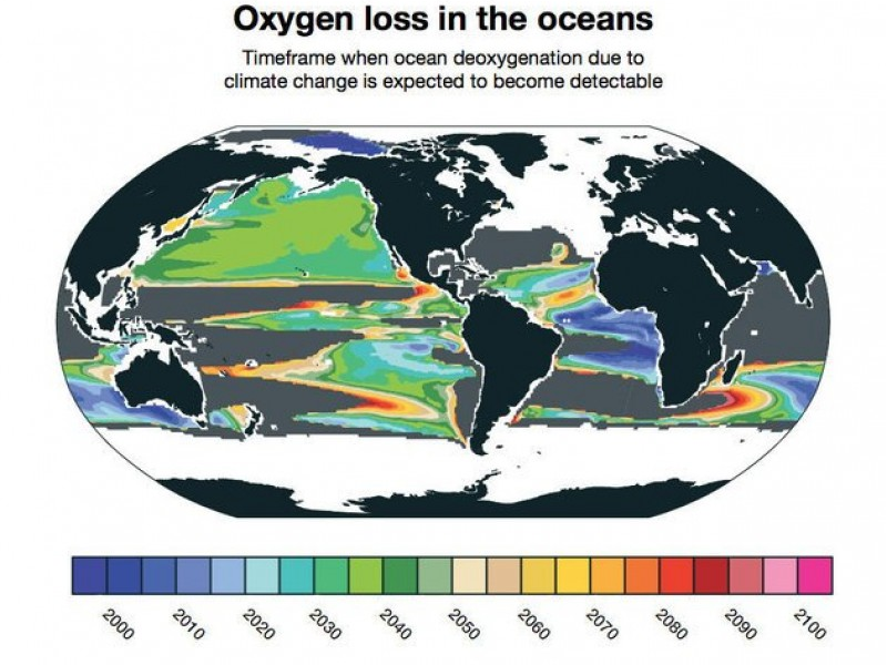 Biển thiếu oxy trong 15 năm tới