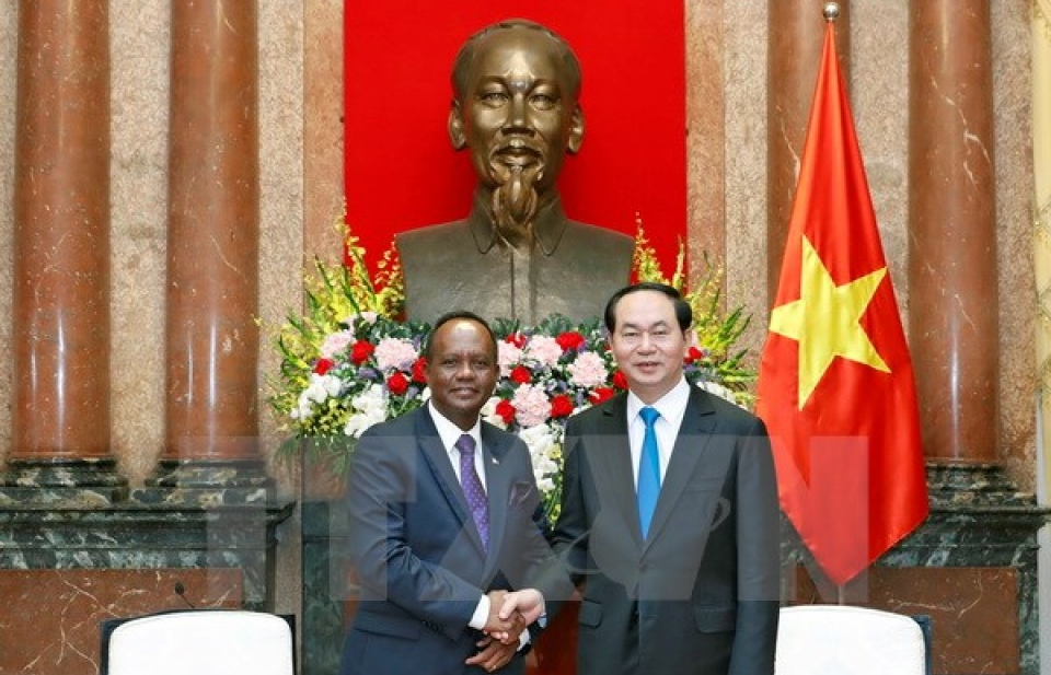 Chủ tịch nước Trần Đại Quang tiếp Bộ trưởng Phủ Tổng thống Madagascar