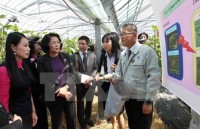 nhat ban hoan nghenh cac nuoc thanh vien tiep tuc trao doi de tpp som duoc thuc thi