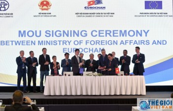 Vietnam, EU boast high potential to bolster partnership