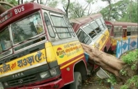 Ấn Độ: 84 người thiệt mạng do siêu bão Amphan