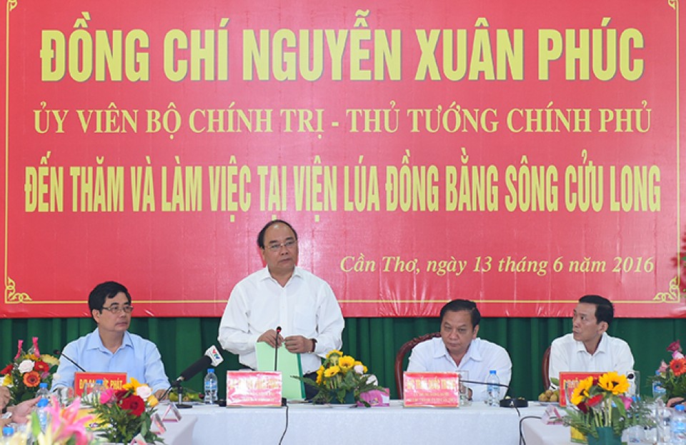 nganh lua gao huong vao san xuat hang hoa