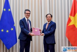 Vietnam notifies EU of its ratification of EVFTA, EVIPA