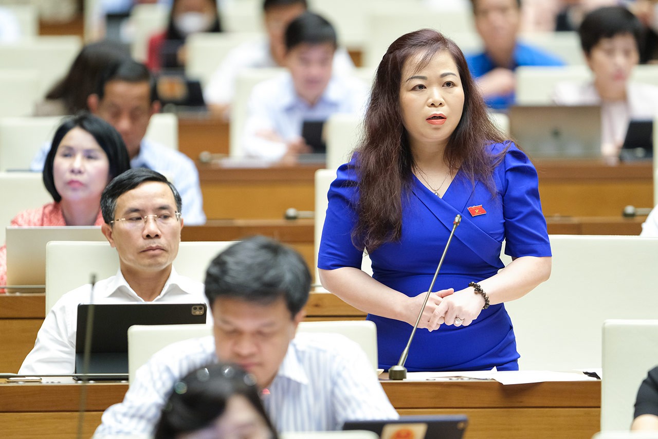 Đại biểu Vũ Thị Lưu Mai (Hà Nội) phát biểu tại phiên họp.