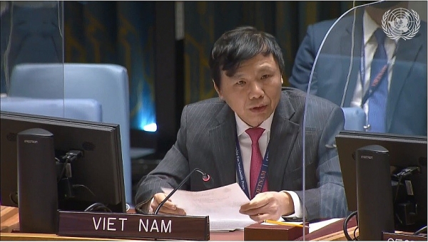 Viet Nam condemns attacks against civilians in Ethiopia: Ambassador