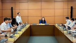 Đại biểu Quốc hội Bùi Thanh Sơn: Hai vấn đề đối ngoại cần làm trong 6 tháng cuối năm