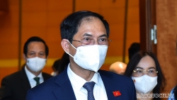 Bộ trưởng Ngoại giao Bùi Thanh Sơn trao đổi về thúc đẩy ngoại giao vaccine