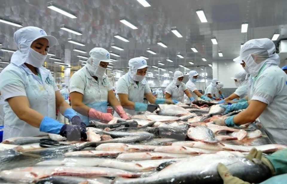 Mỹ nêu lý do cấm nhập lô cá da trơn từ Việt Nam
