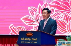 Diplomacy contributes greatly to promoting international cooperation: Deputy Prime Minister Pham Binh Minh