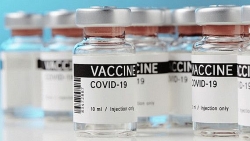 Bào chế vaccine ngừa Covid-19 chi phí thấp, Thái Lan thử nghiệm thành công trên khỉ và chuột
