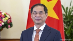 Bộ trưởng Ngoại giao Bùi Thanh Sơn sẽ thăm chính thức Cộng hòa Liên bang Đức và Cộng hòa Áo