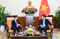 Phó Thủ tướng Phạm Bình Minh tiếp Đại sứ Ấn Độ Pranay Verma