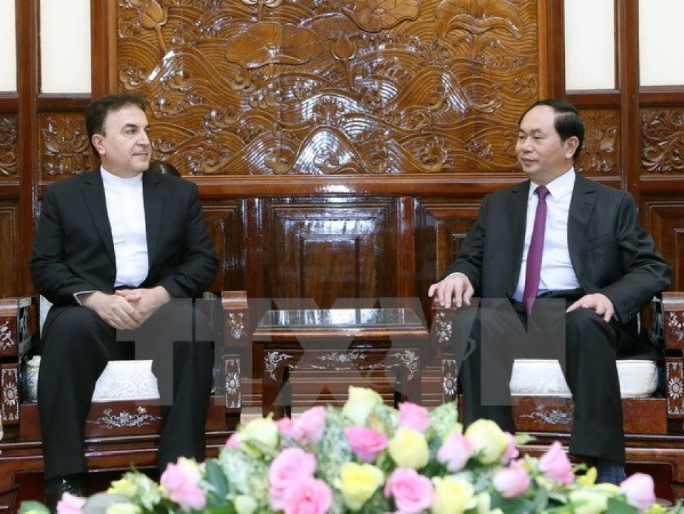 Chủ tịch nước Trần Đại Quang tiếp Đại sứ Iran chào xã giao